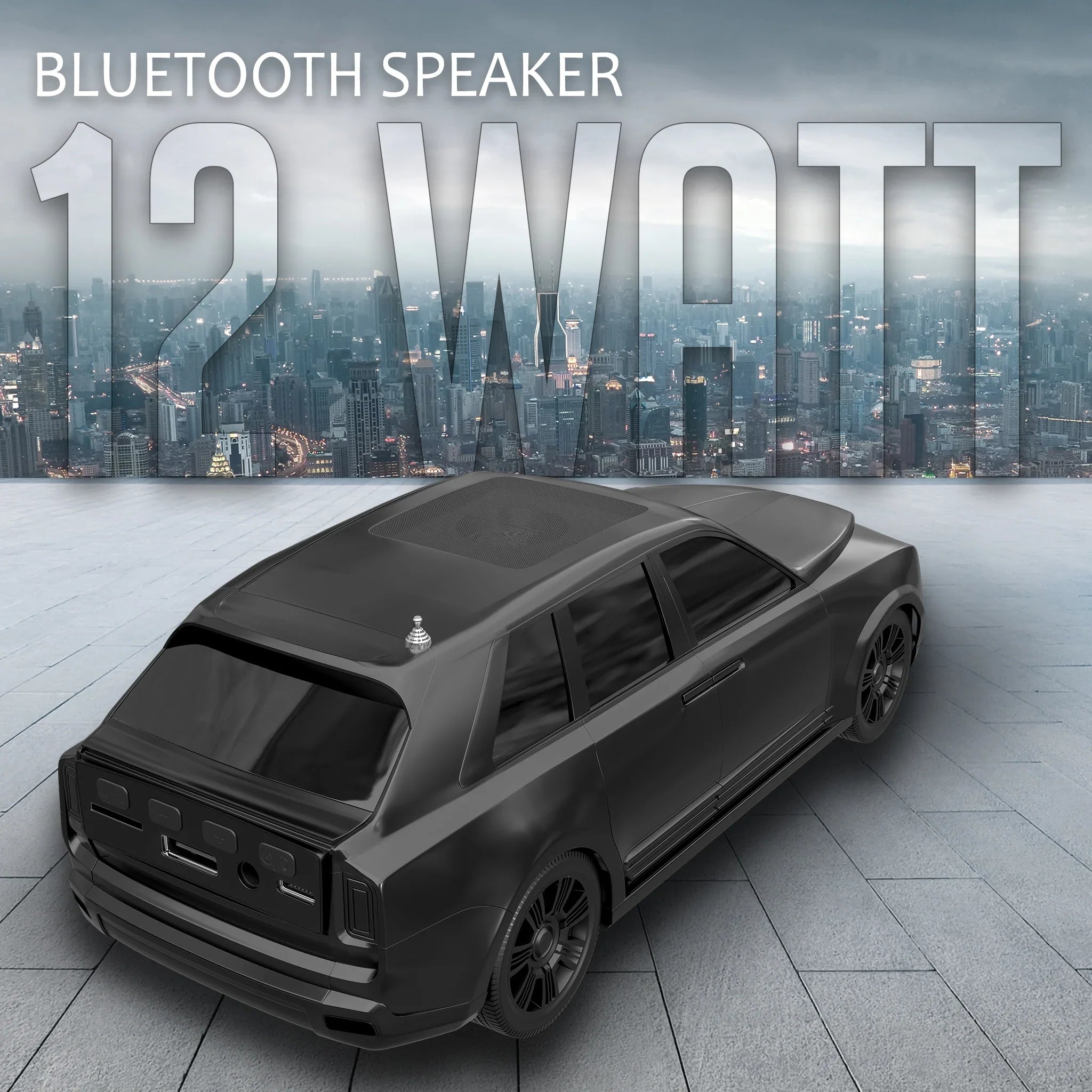 12W Portable Speaker