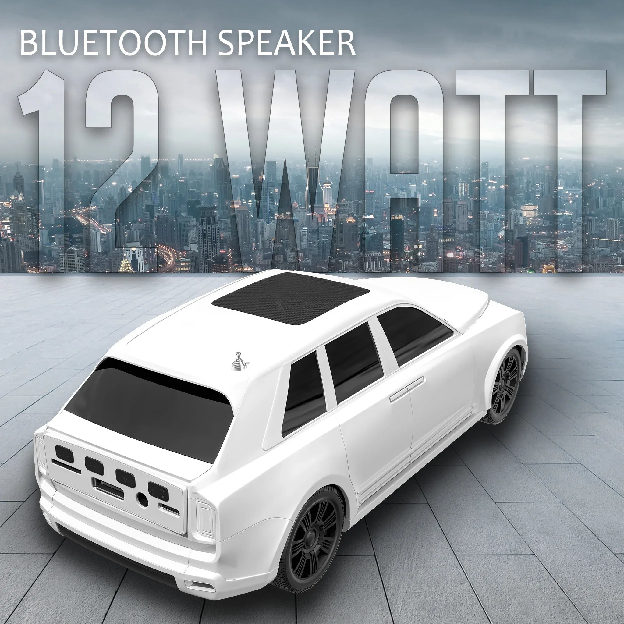 12W Portable Speaker