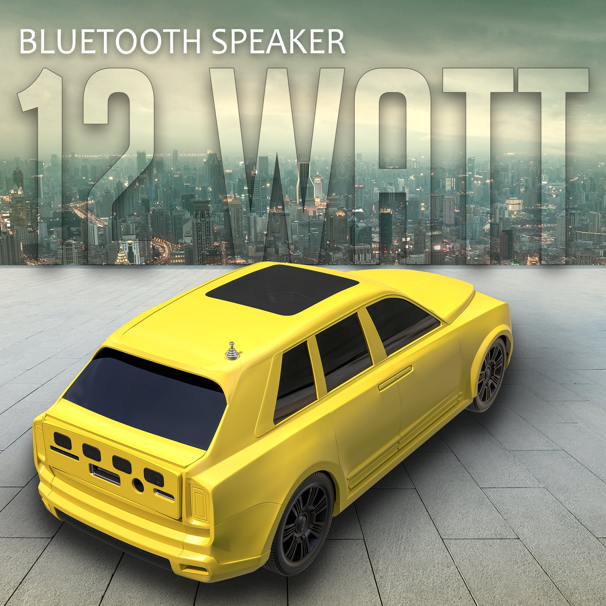 12W Portable Speaker